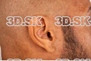 Ear texture of Ron 0001